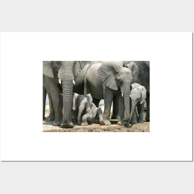 Cute little elephants Wall Art by Melissa Peltenburg Travel Photography